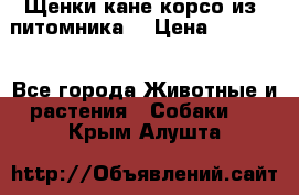 Щенки кане корсо из  питомника! › Цена ­ 65 000 - Все города Животные и растения » Собаки   . Крым,Алушта